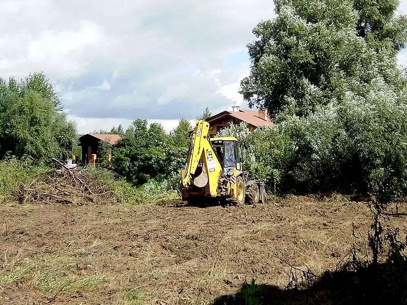 Расчистка участка от деревьев и кустарников: тонкости и нюансы